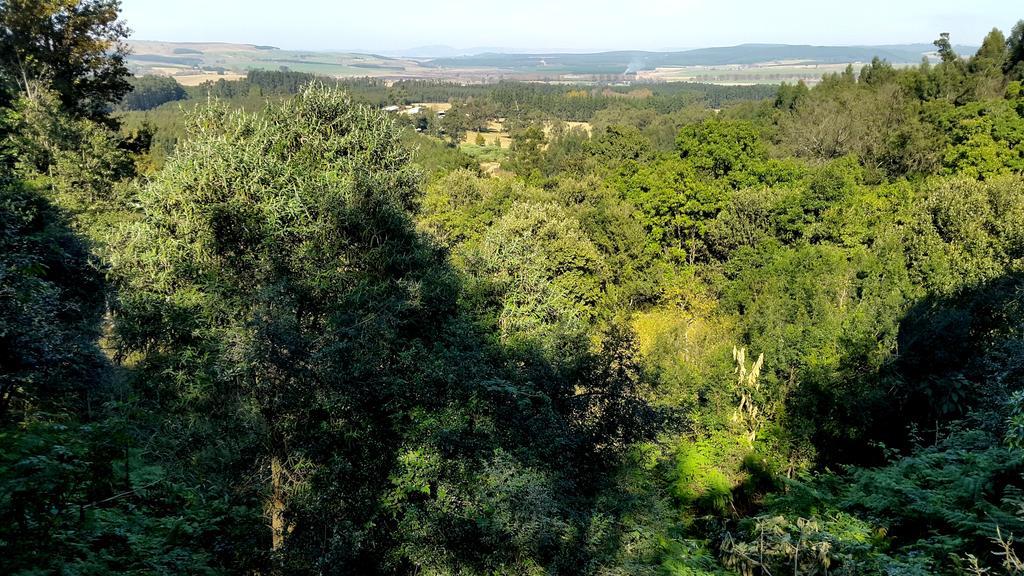 Evergreen Cabin Karkloof Yarrow Exterior foto